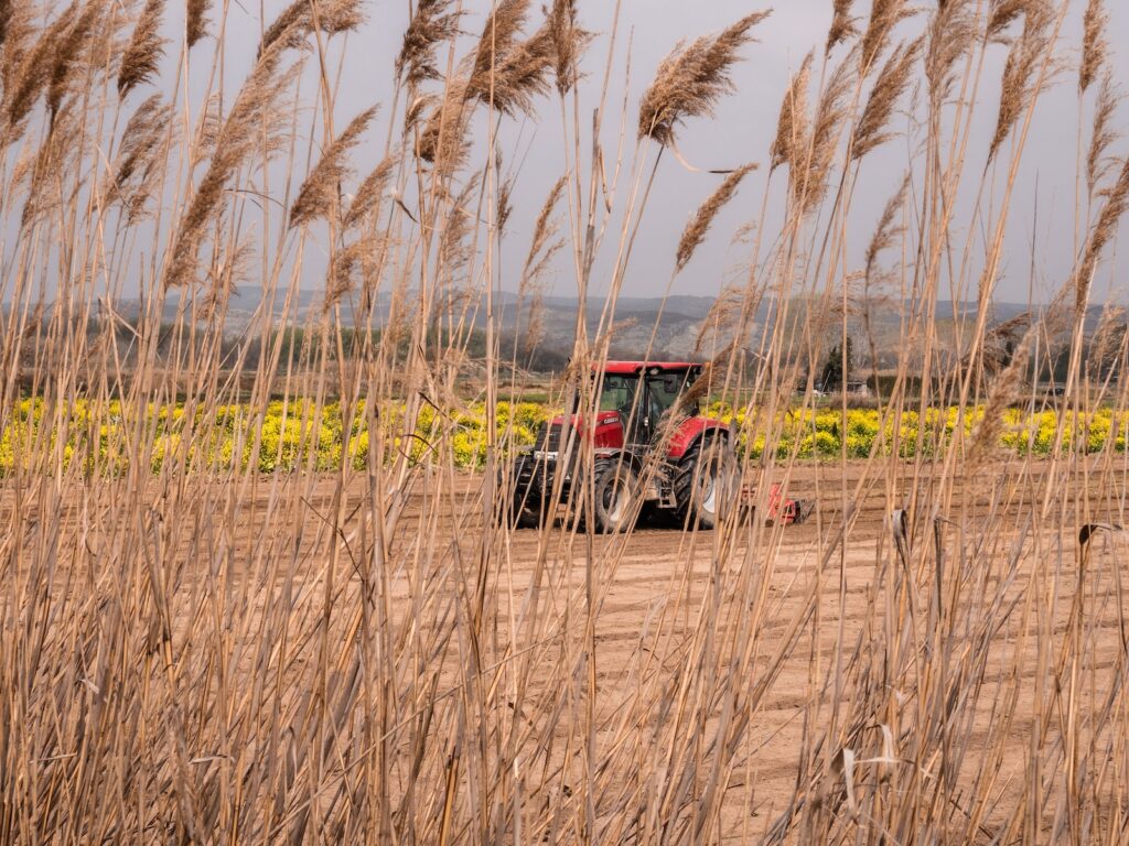 Fungicide Launched in Brazil Controls Major Soybean Diseases