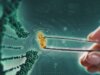 Cracking the Code: How manufacturing breakthroughs by three innovative companies changed the biologicals market — and changed what’s possible for farmers