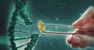 Cracking the Code: How manufacturing breakthroughs by three innovative companies changed the biologicals market — and changed what’s possible for farmers