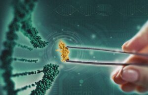 Cracking the Code: How manufacturing breakthroughs by three innovative companies changed the biologicals market — and changed what’s possible for farmers